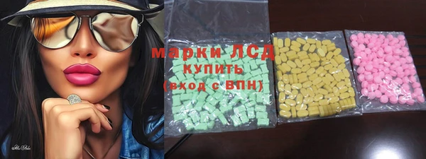 гидра Горняк