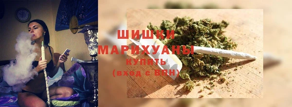 гидра Горняк