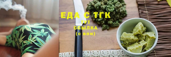 гидра Горнозаводск