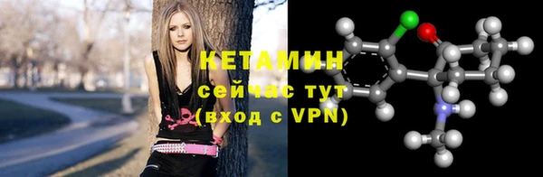 гидра Горняк