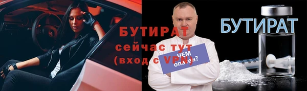 гидра Горняк