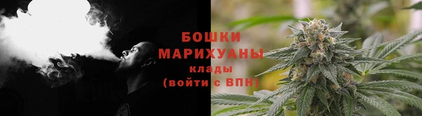 гидра Горнозаводск