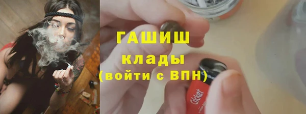 гидра Горняк