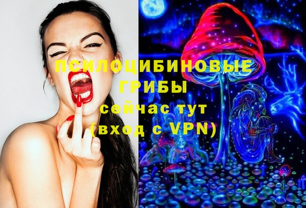 гидра Горнозаводск