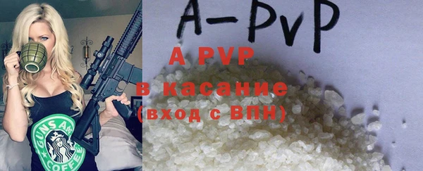 гидра Горняк