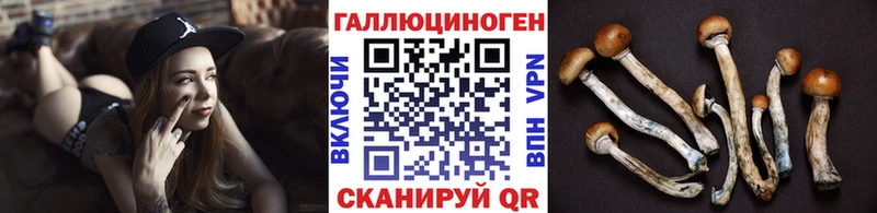 Псилоцибиновые грибы Cubensis  Купить где  Волгоград 